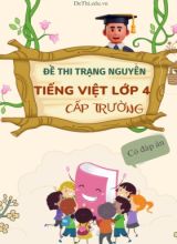 Bộ đề thi trạng nguyên Tiếng Việt Lớp 4 cấp trường (Có đáp án)